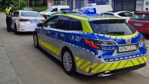 Masowe kontrole policji w kilku miastach. Na cel wzięto jedną grupę kierowców