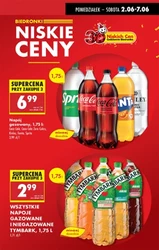 Twój sklep z niskimi cenami - Biedronka