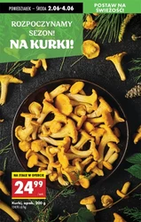 Twój sklep z niskimi cenami - Biedronka