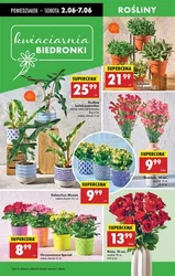 Twój sklep z niskimi cenami - Biedronka