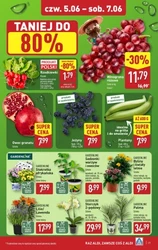 Nie przegap XXL oszczędności w ALDI!