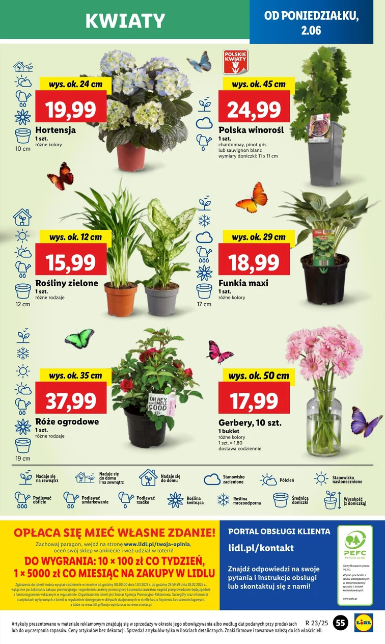 leaflet page preview image