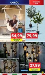 Smak luksusu w promocji – Lidl