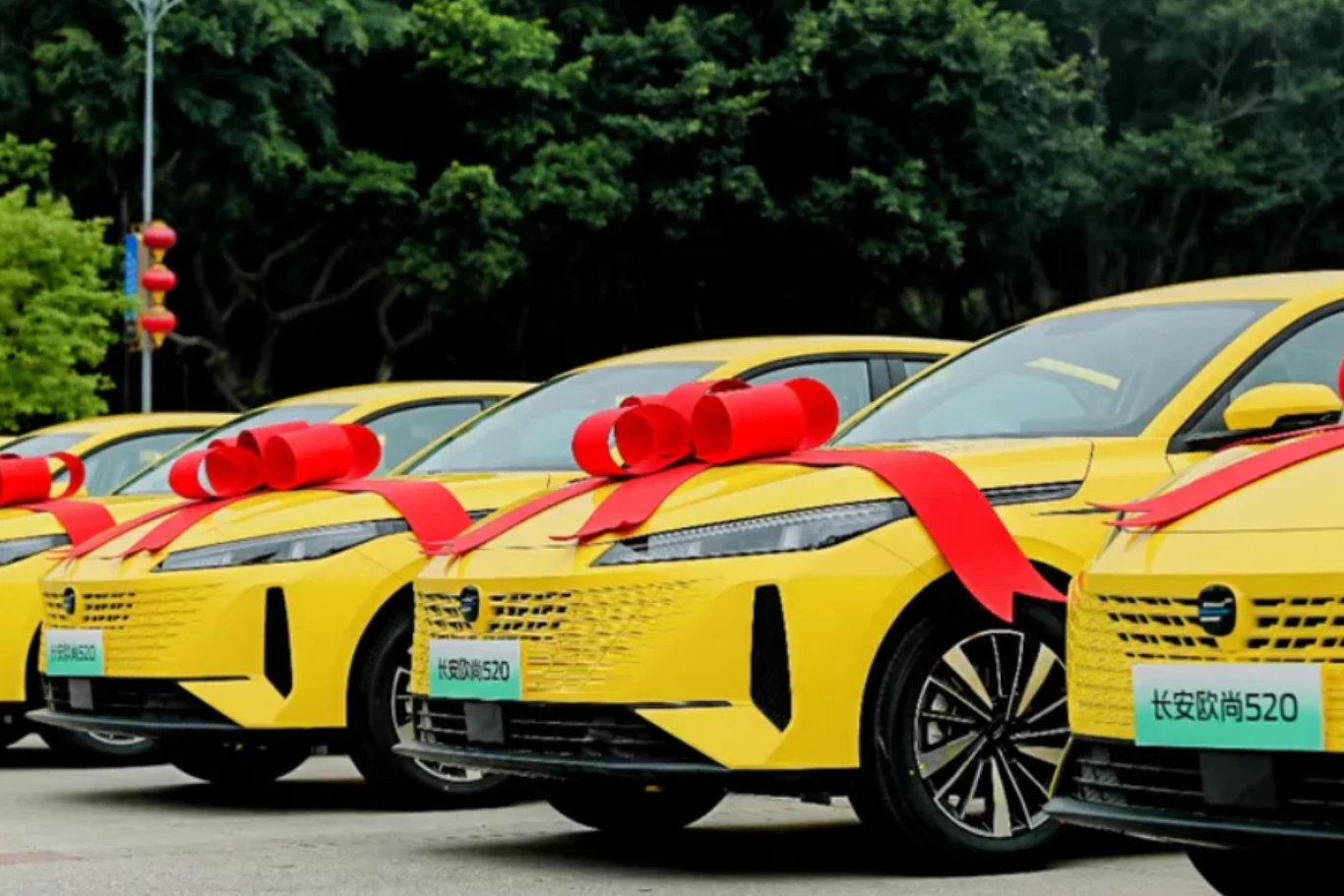 Rząd nowych, żółtych samochodów ustawionych obok siebie, każdy z dużą czerwoną kokardą na masce, na tle drzew