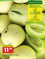 Melon