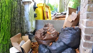 Wymyślił to podczas spaceru. To może być koniec śmieci z plastiku