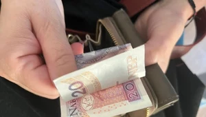 Polacy korzystają z "luki" w PPK. Rekordzista wypłacił fortunę