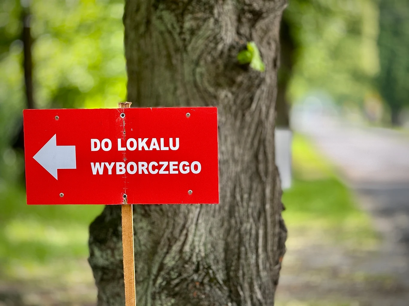 Lasowice Wielkie gminą z najniższą frekwencją w II turze wyborów prezydenckich Czerwona tablica z białym napisem „DO LOKALU WYBORCZEGO” oraz białą strzałką wskazującą kierunek, ustawiona na tle drzewa przy drodze w zielonym otoczeniu.