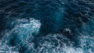 Ocean staje się ciemny i cichy. Naukowcy biją na alarm
