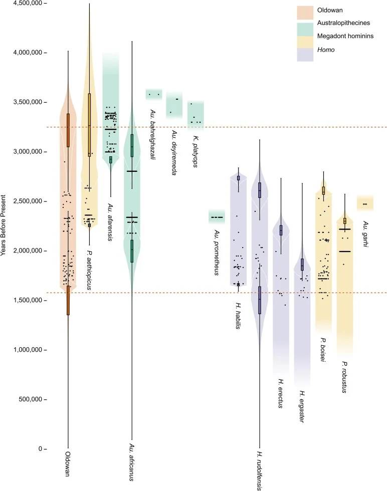 Wykres porównujący czas istnienia różnych gatunków homininów oraz związanych z nimi kultur technologicznych, wskazujący na różnorodność oraz nakładanie się okresów życia tych gatunków. Kolorowe oznaczenia reprezentują linie ewolucyjne: Oldowan, austral...