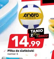 Волейбол Enero
