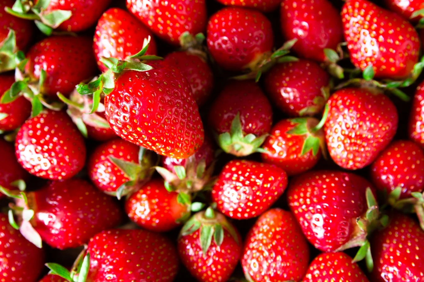 Szypułki truskawek skrywają związki istotne dla funkcjonowania mózgu czy wzroku.