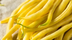 Ile kosztuje fasolka szparagowa?