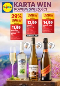 Gazetka promocyjna Lidl, ważna od 02.06.2025 do 05.07.2025.