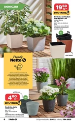 Rodzinny zakątek w Netto! 