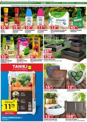 Merkury Market - hit cenowy!