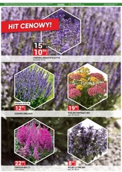 Merkury Market - hit cenowy!