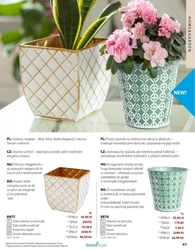 BetterStyle - katalog czerwiec 2025