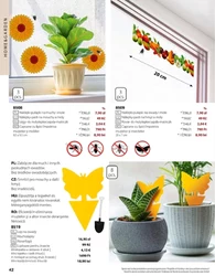 BetterStyle - katalog czerwiec 2025