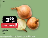 Cebula