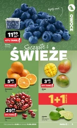 Nowa SUPER OFERTA w Netto!