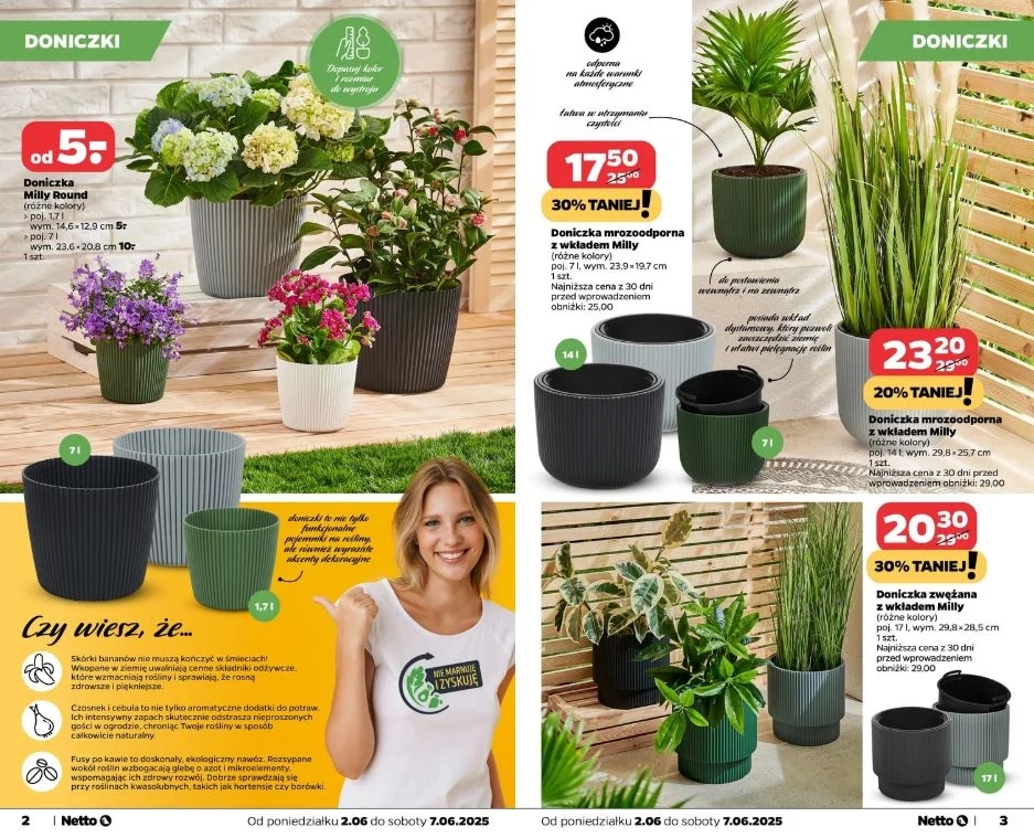 Netto oferuje promocje na doniczki!