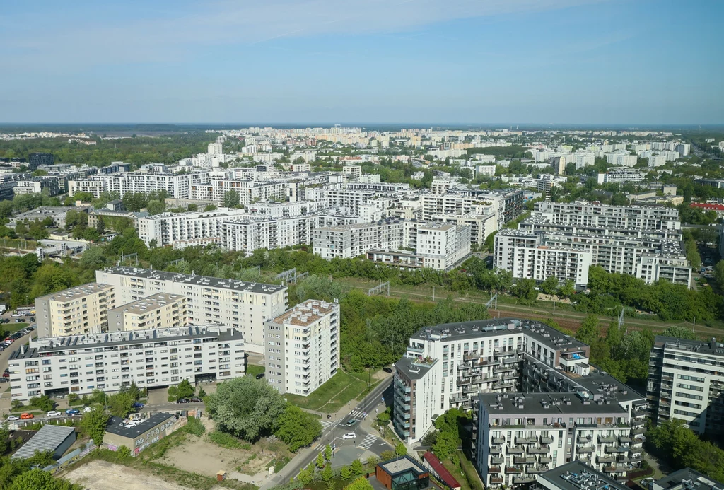 Agresywne ptaki grasują na warszawskim Żoliborzu Agresywne ptaki grasują na warszawskim Żoliborzu
