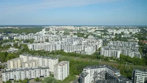 Niecodzienne sceny w Warszawie. Agresywne ptaki opanowały jedną z dzielnic