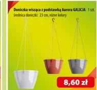 Doniczka Galicja