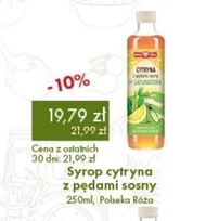 Syrop Polska Róża