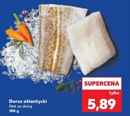 Dorsz