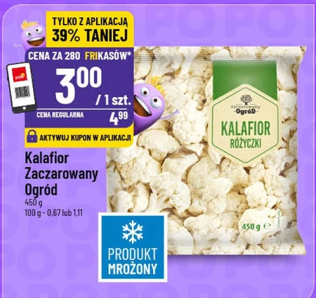 Kalafior Zaczarowany Ogród