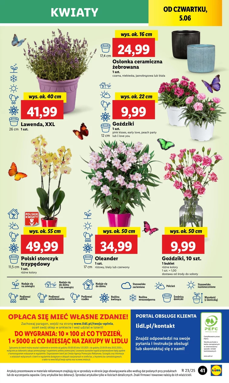 leaflet page preview image