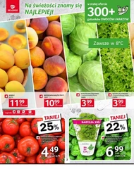 Oferta spożywcza w Selgros 