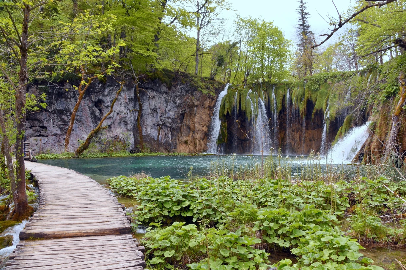 Park Narodowy Jezior Plitwickich w Chorwacji warto odwiedzić w czerwcu. Widoki są zachwycające, a tłumy turystów jeszcze nie tak duże. Park Narodowy Jezior Plitwickich w Chorwacji warto odwiedzić w czerwcu. Widoki są zachwycające, a tłumy turystów jeszcze nie tak duże.