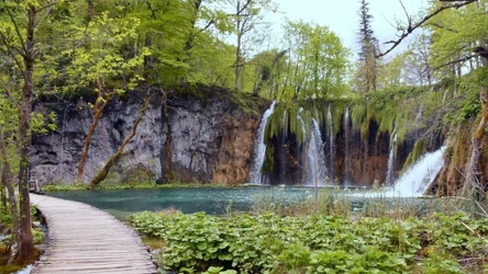 Park Narodowy Jezior Plitwickich w Chorwacji warto odwiedzić w czerwcu. Widoki są zachwycające, a tłumy turystów jeszcze nie tak duże. 