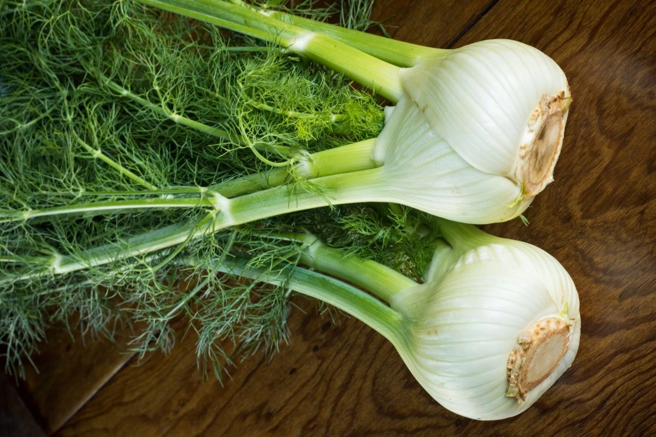 Częściami jadalnymi fenkułu są zarówno bulwa, liście, jak i nasiona.