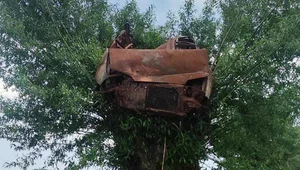 Tajemnicze znalezisko. Spalony wrak na czubku drzewa