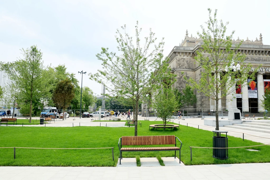 Nowy Plac Centralny w Warszawie obok Pałacu Kultury i Nauki Ławki ustawione na zadbanym zielonym trawniku, młode drzewa i fragment klasycznego budynku z kolumnami, w tle przechodnie oraz parkujące samochody.