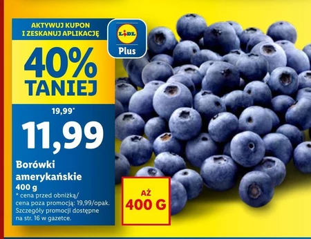 Borówki amerykańskie