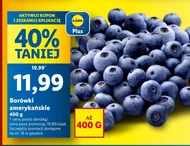 Borówki amerykańskie
