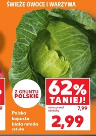 Kapusta młoda