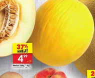 Melon