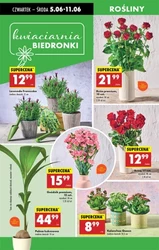 Moc gratisów i super rabatów - Biedronka