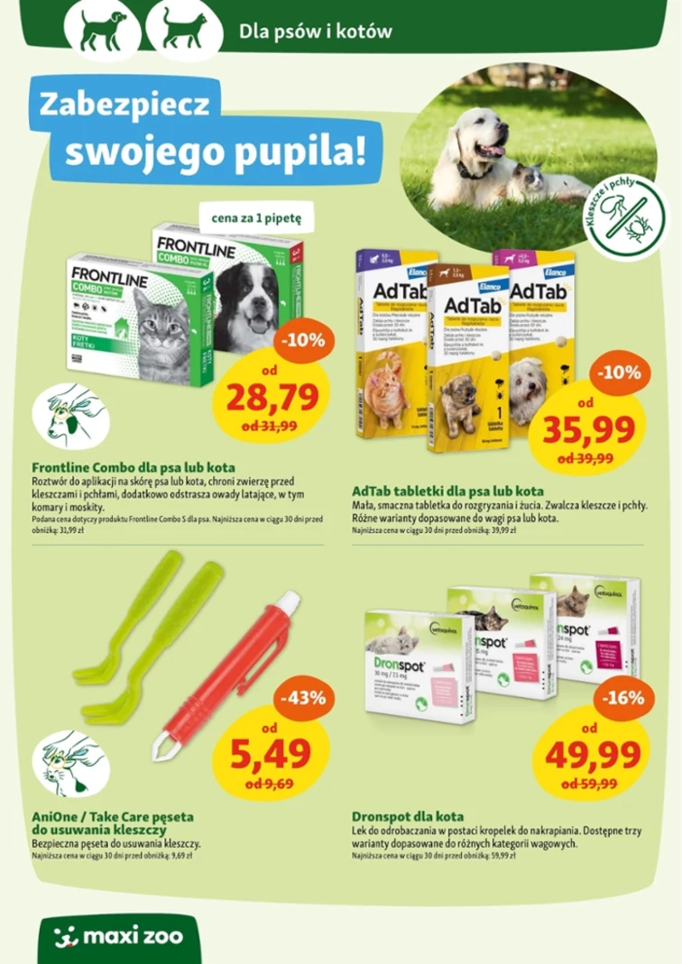 leaflet page preview image