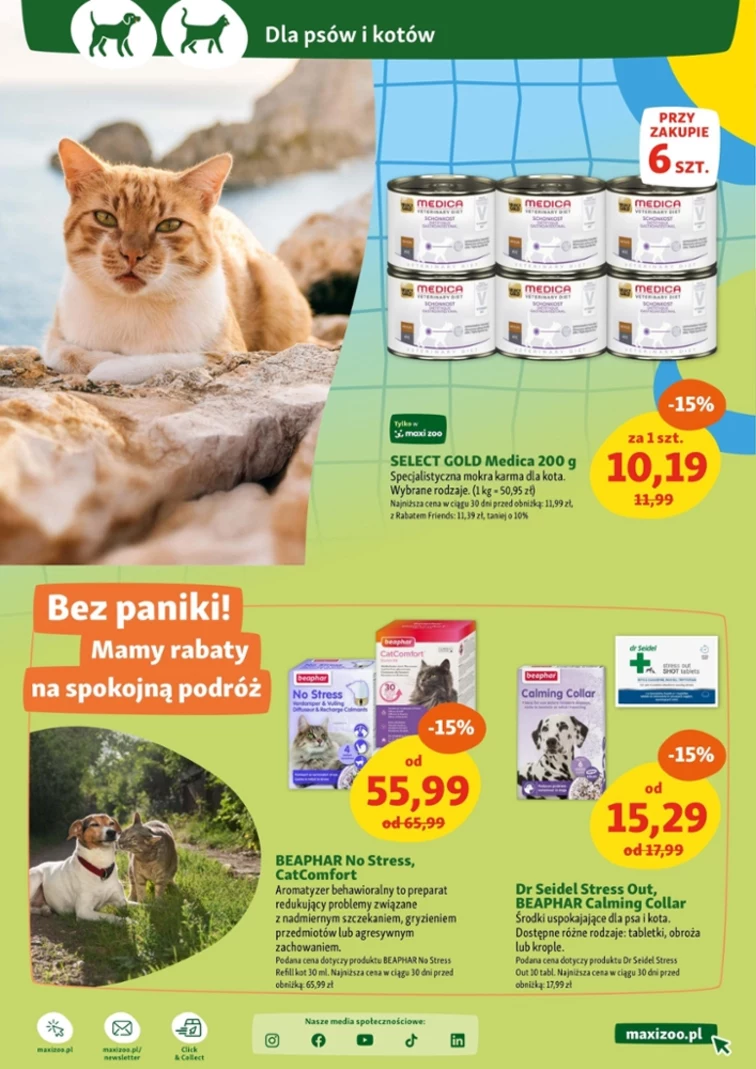 leaflet page preview image