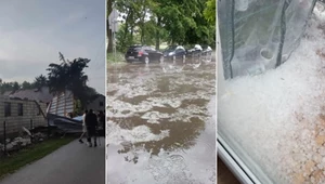"Docierają do nas przykre raporty". Strażacy mieli masę pracy