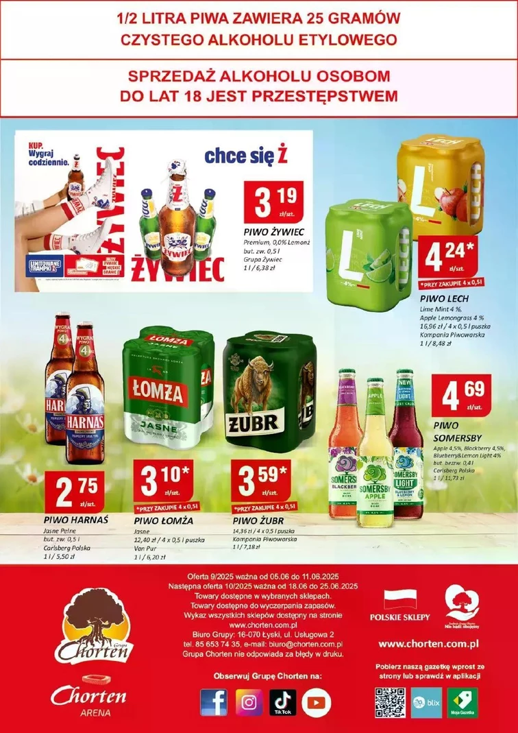 leaflet page preview image