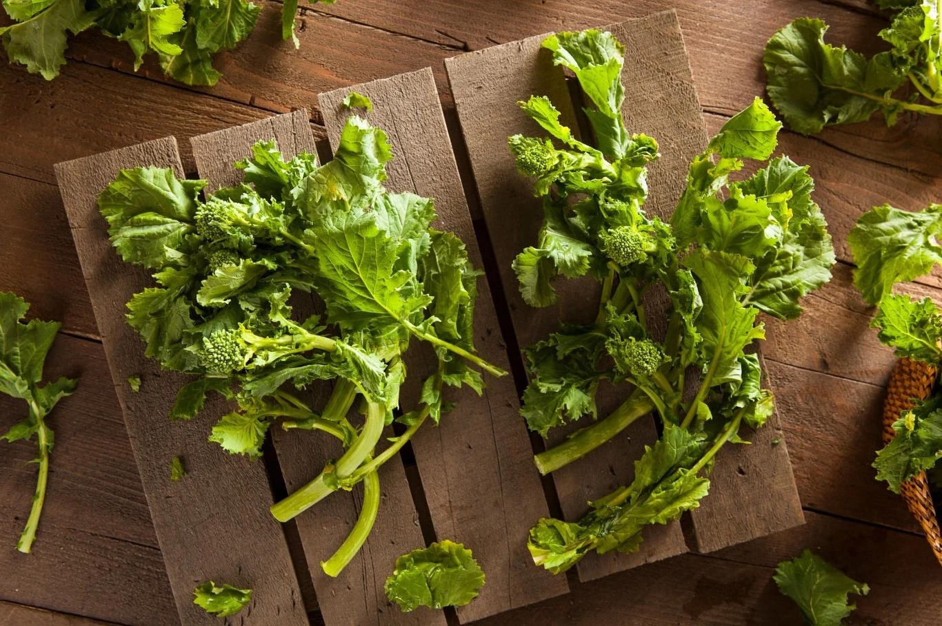 Kwiatostany rapini przypominają wyglądem małe różyczki brokułów