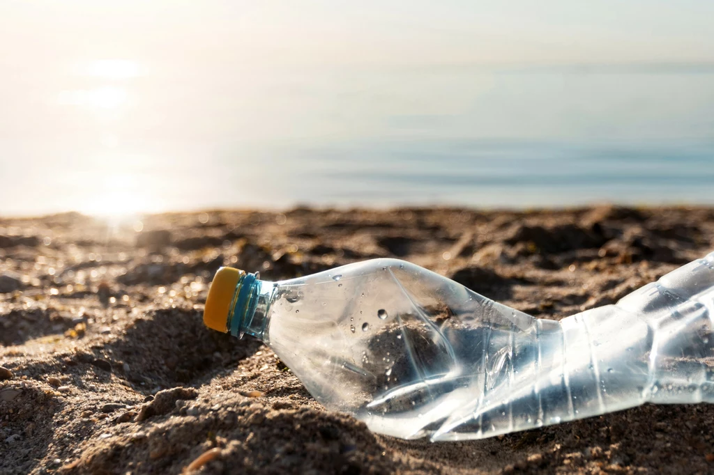 Najczęściej spotykane na plażach odpady to m.in. plastikowe butelki Najczęściej spotykane na plażach odpady to m.in. plastikowe butelki